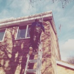 home-maintenance_ladder_low-res